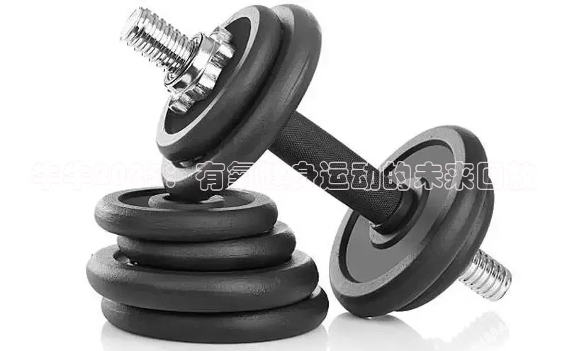 304永利集团官网入口